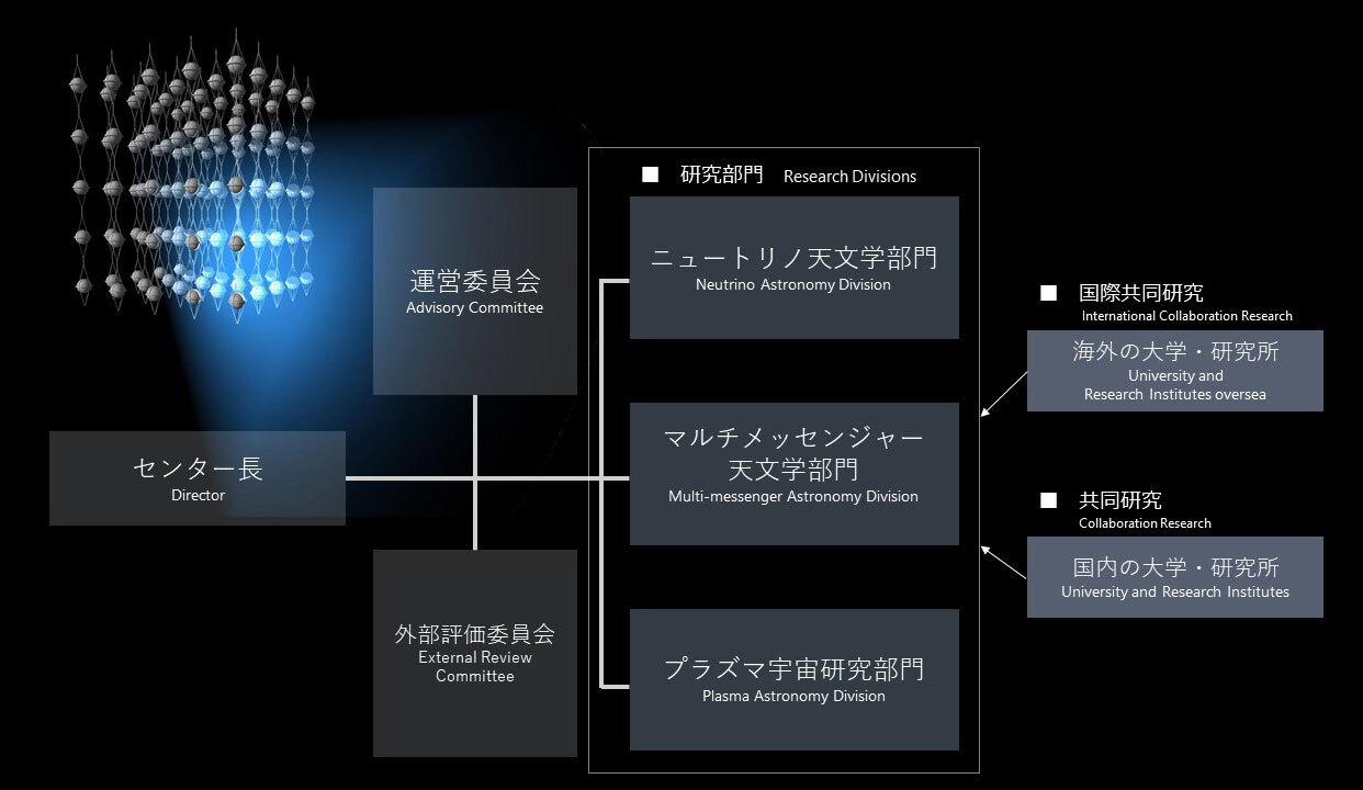 orgnazation chart