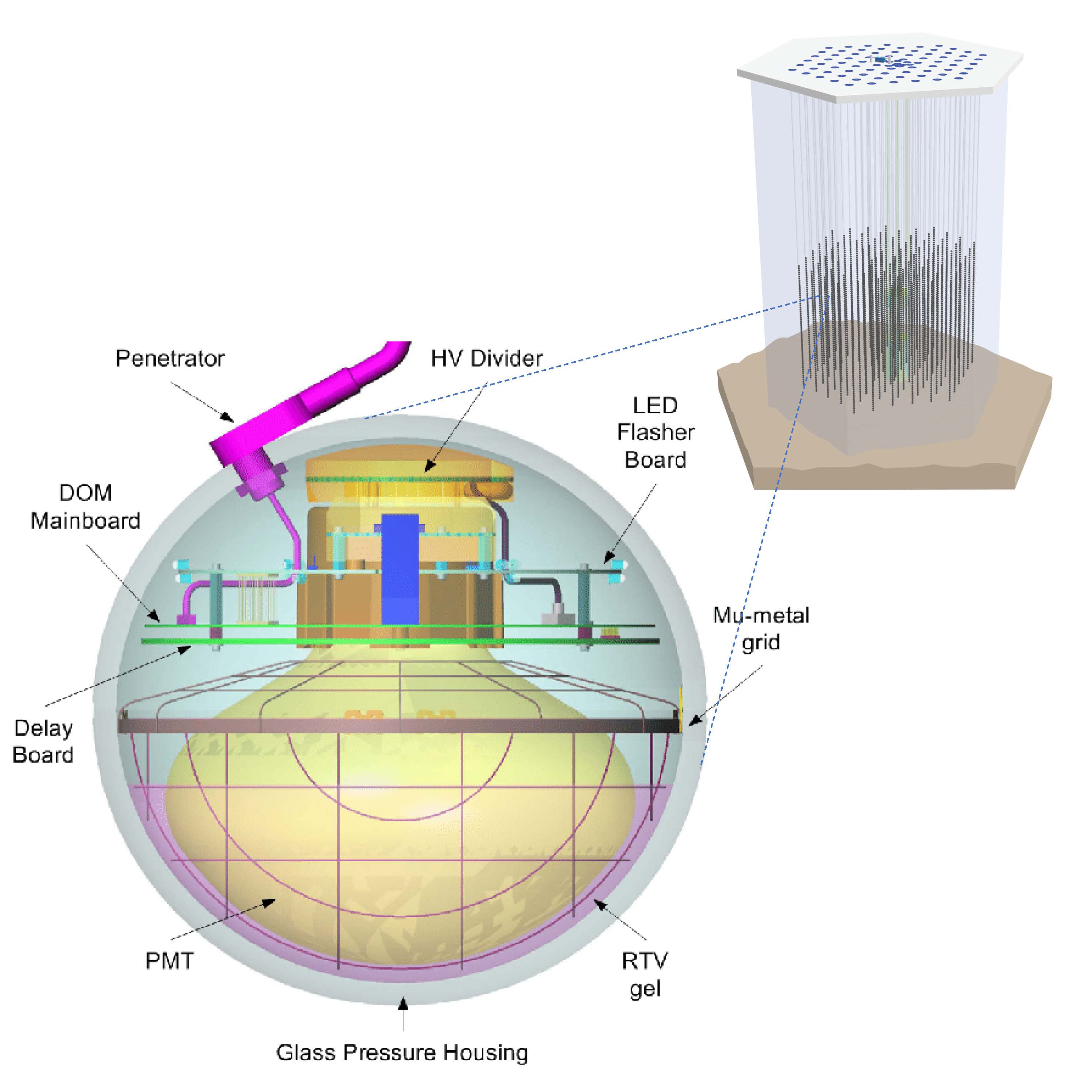 Internal diagram of a DOM