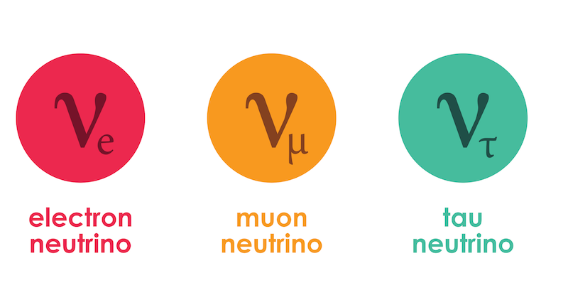 The Three Neutrino Types