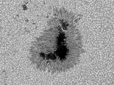 Sunspots observed by the Hinode satellite. (NAOJ/JAXA)