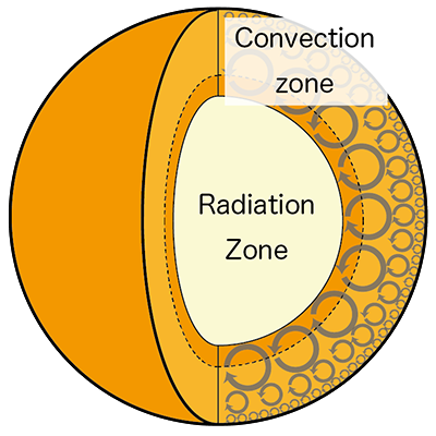 Cutaway view of the Sun’s interior. Here we can see the radiative zone, which transfers energy away from the Sun in the form of radiation, and the convective zone, in which energy is transferred by convective currents.