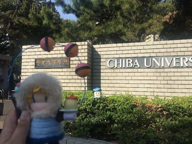 This is South gate of the Chiba Univ. Yes, you are almost there!