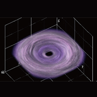 MHD Simulation of a MHD Torus Threaded by Toroidal Magnetic Fields<br>Image by: Mami Machida