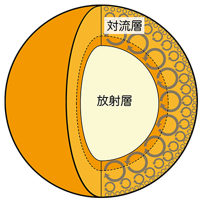 太陽内部の外観図